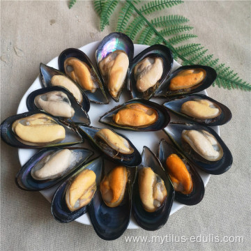 seafood frozen mussel meat in half shell
